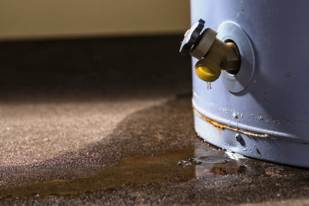Best Ceiling water damage repair  in New Buffalo, MI