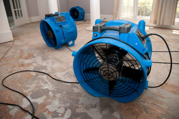 Best Basement water damage restoration  in New Buffalo, MI