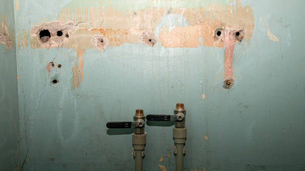 Water damage restoration mold remediation in MI