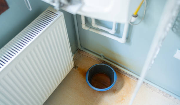 Best Water damage contractors near me  in New Buffalo, MI