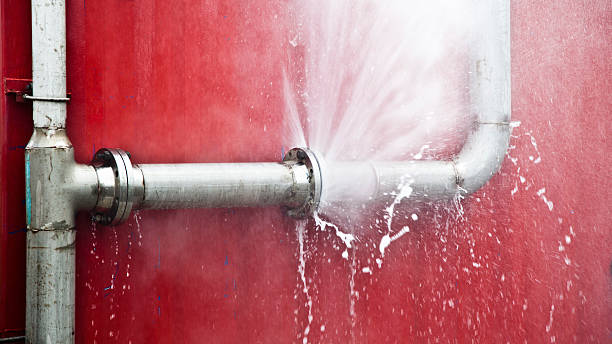 Best Water damage restoration specialists  in New Buffalo, MI