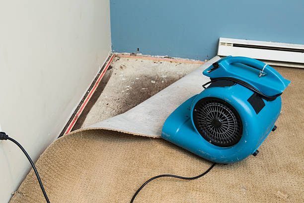 Best Water damage restoration near me  in New Buffalo, MI
